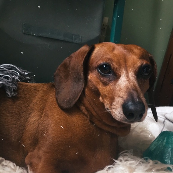 Meet your Posher, Reno - Picture 3 of 3